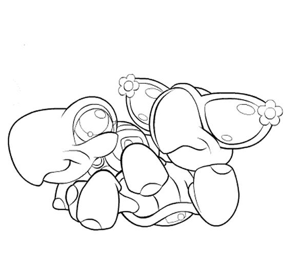 coloriage petshop couple tortue